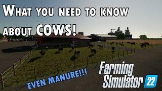 What you need to know about Cows in Farming Simulator 22
