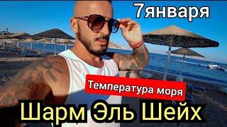 ВЫБИРАЙТЕ ПРАВИЛЬНО ОТЕЛЬ Domina Coral Bay Harem Шарм Эль Шейх температура моря