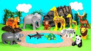 Safari Dioramas For Playmobil Animal Figurines with Zoo Animals Names