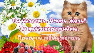 Скорейшего выздоровления! Не болей. Открытка.