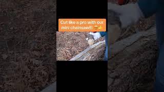 Taranzy mini chainsaw is the ultimate outdoor tool!e