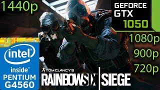 Rainbow Six Siege - GTX 1050 2GB - G4560 - 1080p - 900p - 720p - 1440p