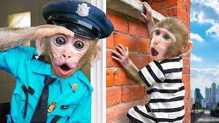 KiKi Monkey challenge Hide and Seek to escape from Prison Maze with Trap | KUDO ANIMAL KIKI