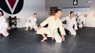 Aikido Basic Mae Ukemi 3 Points for Beginners