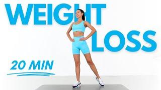 Standing Workout for Full Body Weight Loss - No Jumping, No Repeat, No Equipment