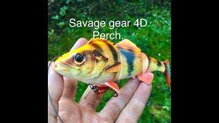 NEW Savage Gear 4D line thru Perch, review and underwater views