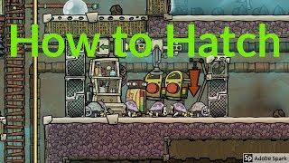 Hatch Ranching Early to Late game : Tutorial nuggets : Oxygen not included