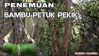 PENEMU4N B4MBU PETUK PEK1K L4N6K4, BOBEN CHANNEL