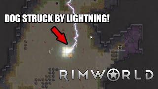 What Are The Chances?! (Rimworld Highlight)