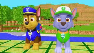 Paw Patrol's Dynamic Duo: Rocky and Chase in Adventure Mode | Crew Sun