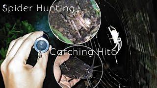 Sinubukan MANULO /MANANGLAW NG GAGAMBA /agood night of spider hunting The adventure of Canoworks