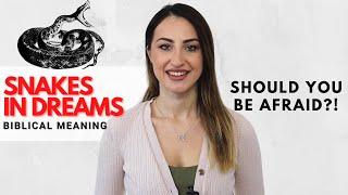 Dreams About Snakes - Should You Be Afraid?!