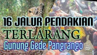 JALUR PENDAKIAN ILEGAL & BERBAHAYA GUNUNG GEDE PANGRANGO/BANYAK KORBAN JIWA & TERSESAT