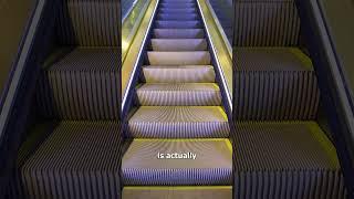 Why Escalator Steps Have Grooves  (important)