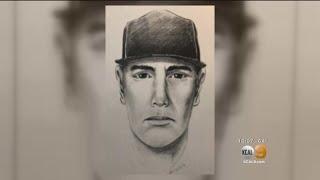 Police Hunt For Violent Sexual Predator In Van Nuys