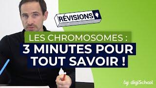 Les chromosomes : rappels, homologues, caryotype...