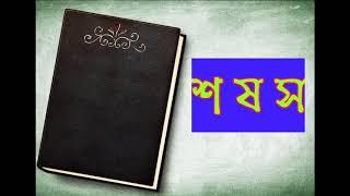 Bangla banjonborno (বাংলা ব্যঞ্জনবর্ণ শ ষ স)। Bangla bornomala l Bengali alphabet l