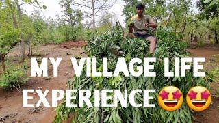 EXPERIENCING VILLAGE LIFE |NAGPUR VLOGS|