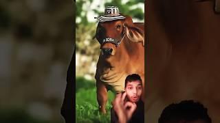 guru vairal tiktok #shorts #guru #tiktok