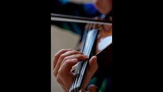 In the Viola Studio with Carol Rodland: Some Left Hand Tips