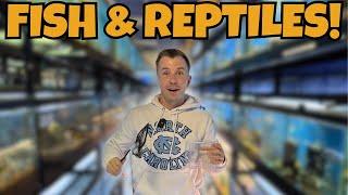 INSIDE CHICAGO’S LEGENDARY FISH & REPTILE STORE! Rare Fish You Won’t Believe!