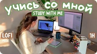 Учись со мной в реальном времени / REAL TIME study with me (lofi music)