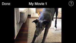 How to make a vertical video on iMovie for iPhone