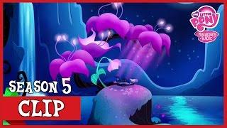 Princess Luna's Peaceful Dream (Do Princesses Dream of Magic Sheep?) | MLP: FiM [HD]