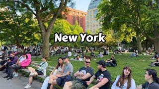 Manhattan Virtual Walking Tour - Washington Square Park To Flatiron District NYC