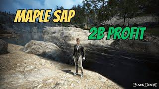 BDO Life | Maple Sap Gathering | 2B PROFIT