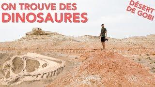 J'AI TROUVÉ DES FOSSILES DE DINOSAURES  // VLOG Mongolie