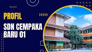 SDN CEMPAKA BARU 01 - VIDEO PROFIL SEKOLAH