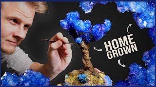 Growing CRYSTAL TREES