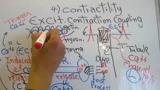 CVS new system (Contractility) dr mohamed fayez