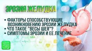 Эрозия желудка | Почему важно тщательно пережевывать пищу?