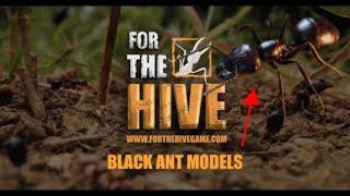 For The Hive Game: Black Ant Models (Updated)