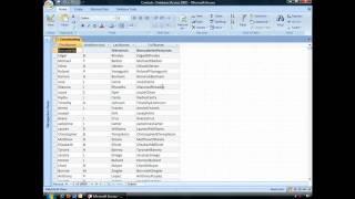 Concatenate Strings of Data Together in Microsoft Access