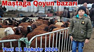 Maştağa Qoyun bazarı 1 dekabr 2024 @mubarizemintv2271