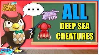 All Deep-Sea Creatures in Animal Crossing New Horizons - All Deep-Sea Creatures Museum Info & Guide