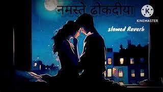 Namaste Dhog Diya lofi song #napalimusic  # papular song