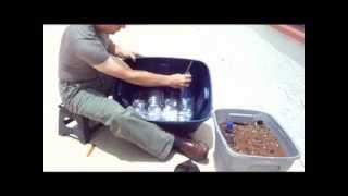 How to make a self-watering container for planting your own garden with limited space. Sun required.