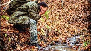 Родник в лесу. Вода чистейшая. Все! Остаюсь.