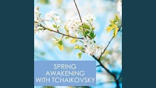 Tchaikovsky: Iolanta Op. 69 / 5. Scene And Monologue Of Ibn-Hakia - "Dva mira - plotskiy i...