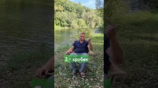 5 помилок рибалки на річці Дністер #рибалка #річка #carpfishing