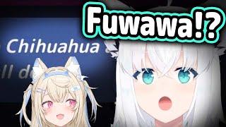 Fubuki Immediately Says "Fuwawa" When She Sees This Word【Hololive】