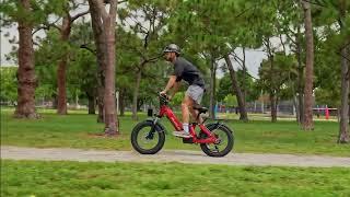 BeeCool Bikes 2024 New Ebike Model | Bee Ranger Fat Tire Electric Bike