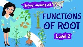 Functions of Root | Parts Of a Plant | Elementary Science | Short Videos |Tutway |