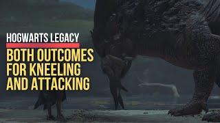 Hogwarts Legacy Graphorn Attack And Kneel Outcomes