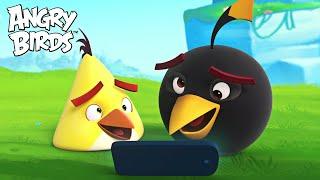 Angry Birds - TOP 15 Funny Moments