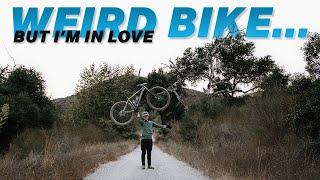 One Weird Bike for One Weird Dude: Jeff’s Unique Revel El Jefe Hardtail MTB